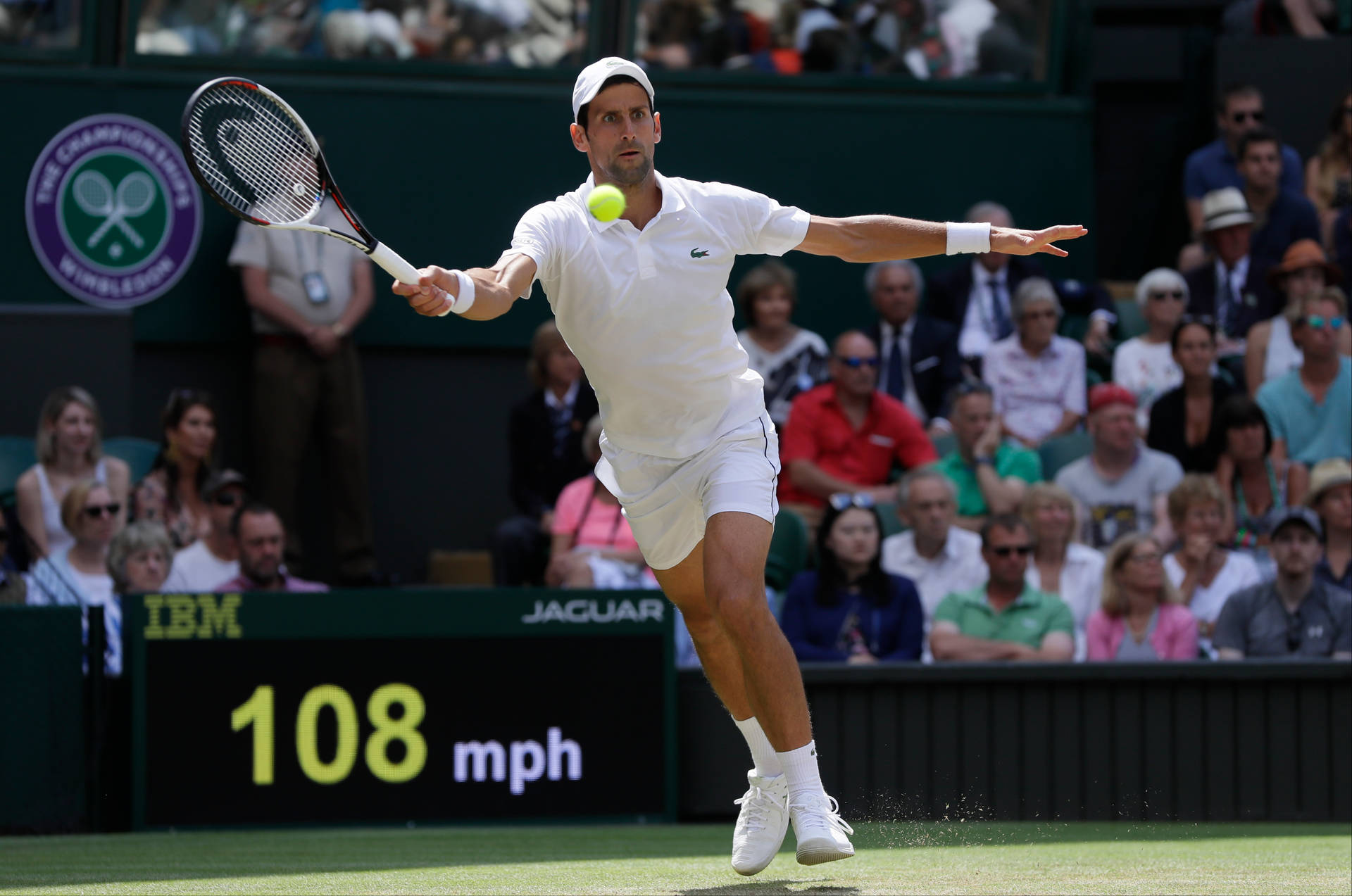 Novak Djokovic Tennis Wimbledon 2021 wallpaper.