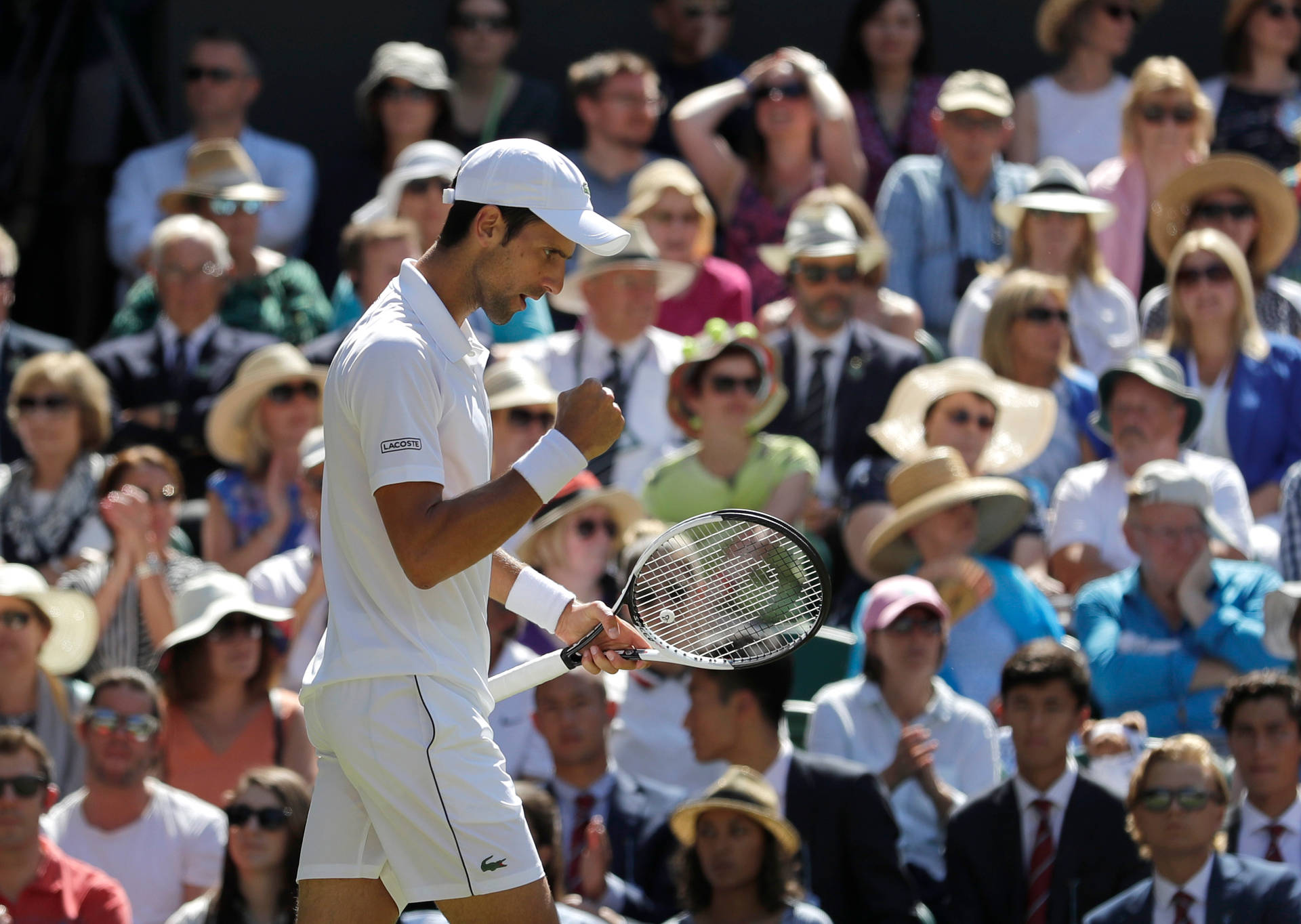 Novak Djokovic Wimbledon 2018 Men's Final Background