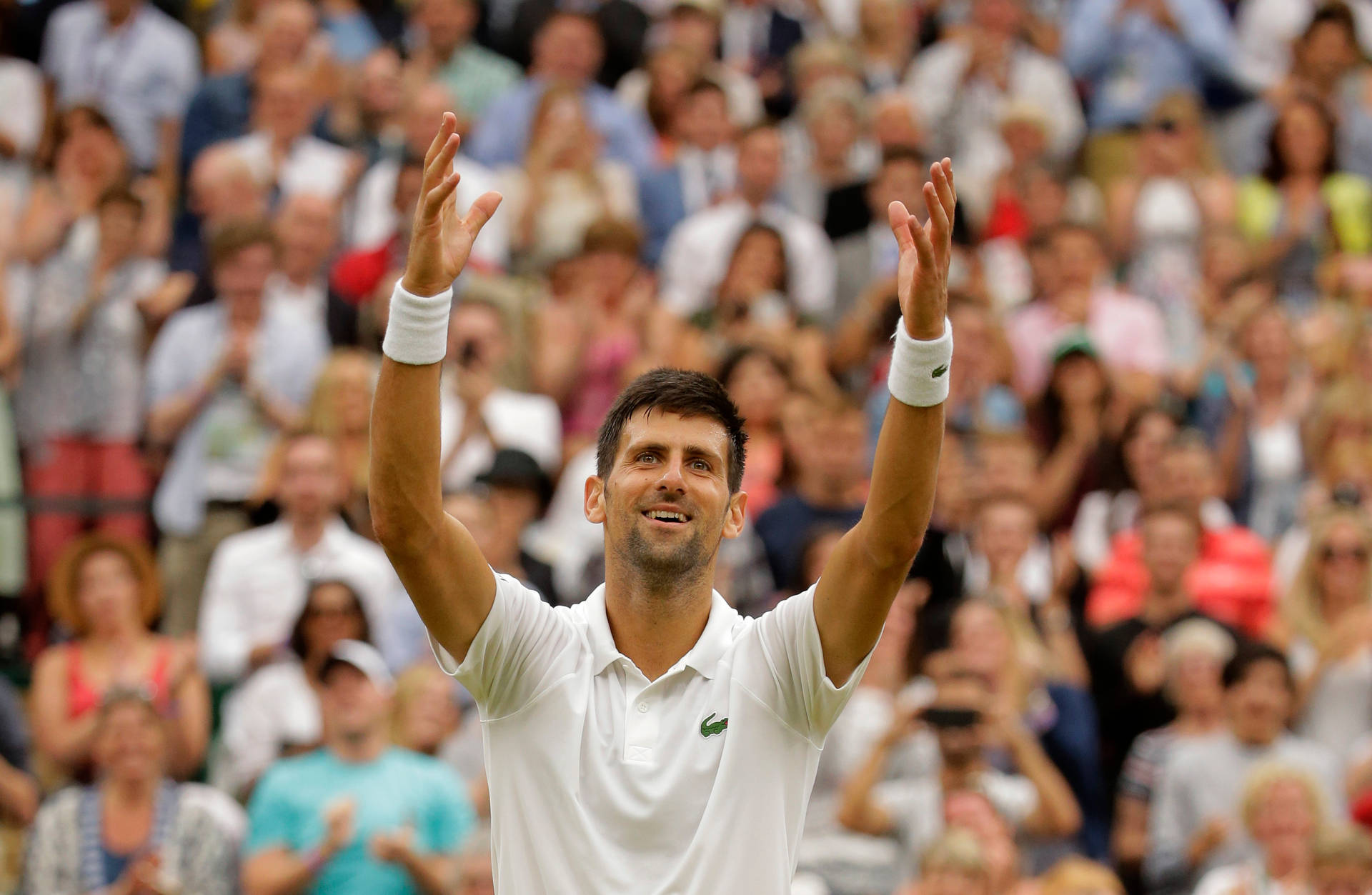 Novakdjokovic Wimbledon 2021: Novak Djokovics Wimbledon 2021 Wallpaper