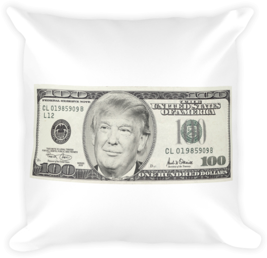 Download Novelty100 Dollar Bill Cushion Design | Wallpapers.com