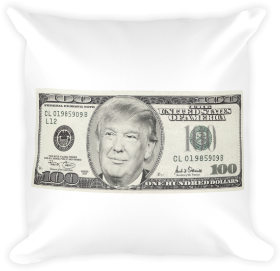 Novelty100 Dollar Bill Cushion Design PNG