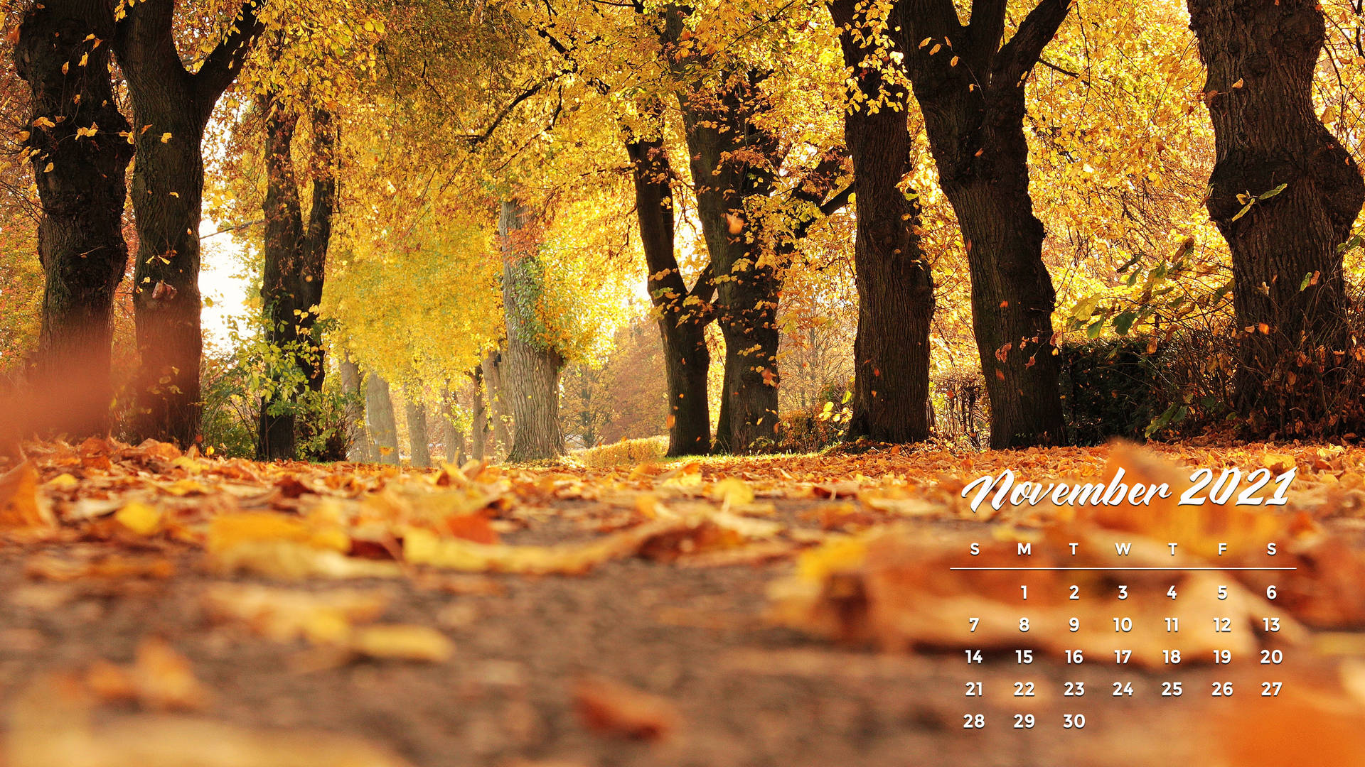 November 2021 Calendar Falling Leaves