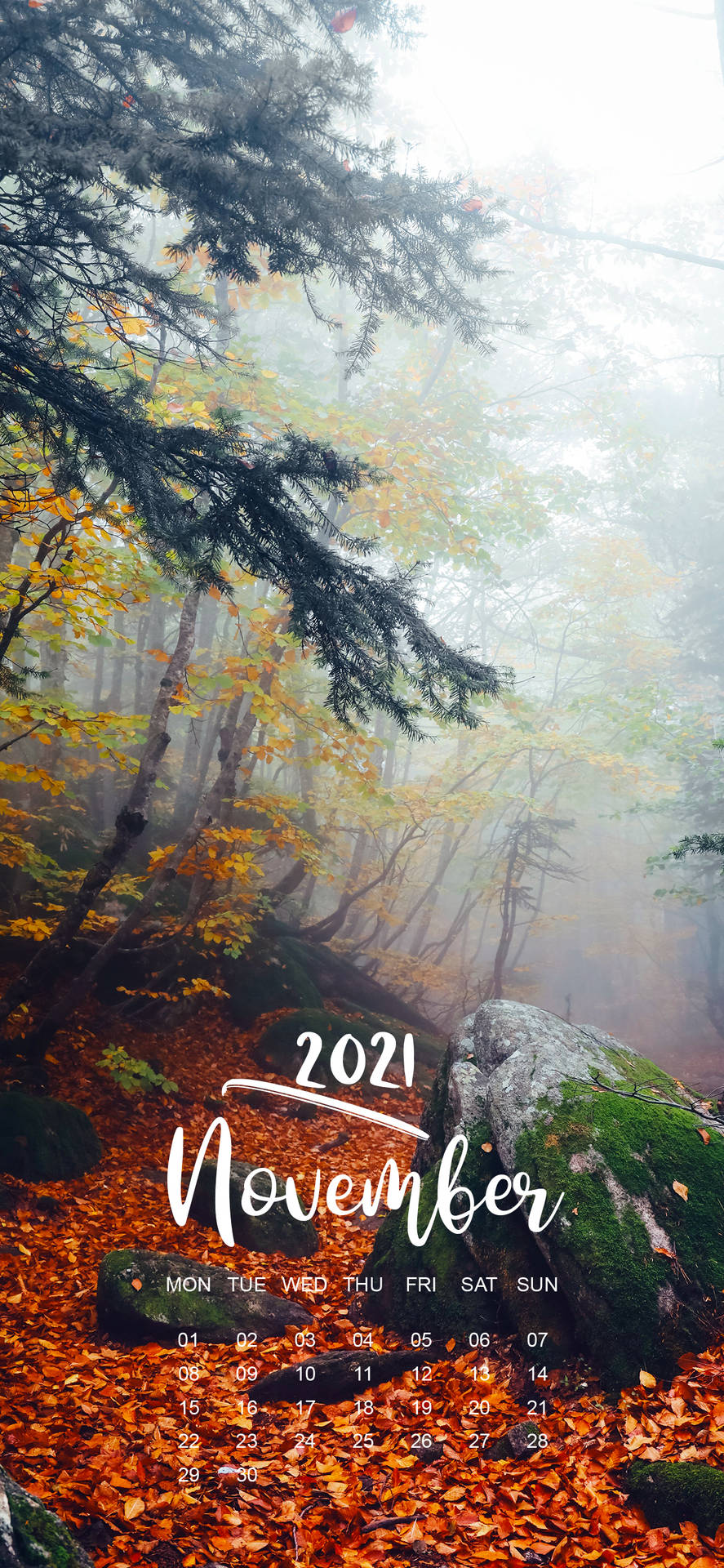 November 2021 Calendar Foggy Forest