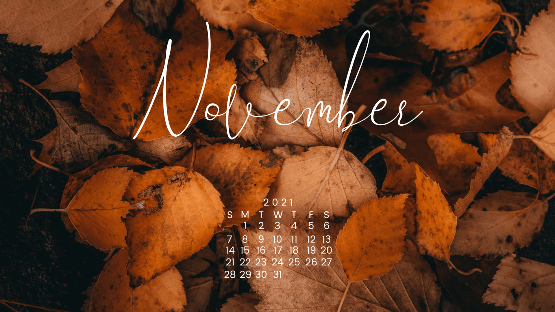 "Welcome to November - a month of joy, giving, and gratitude!"