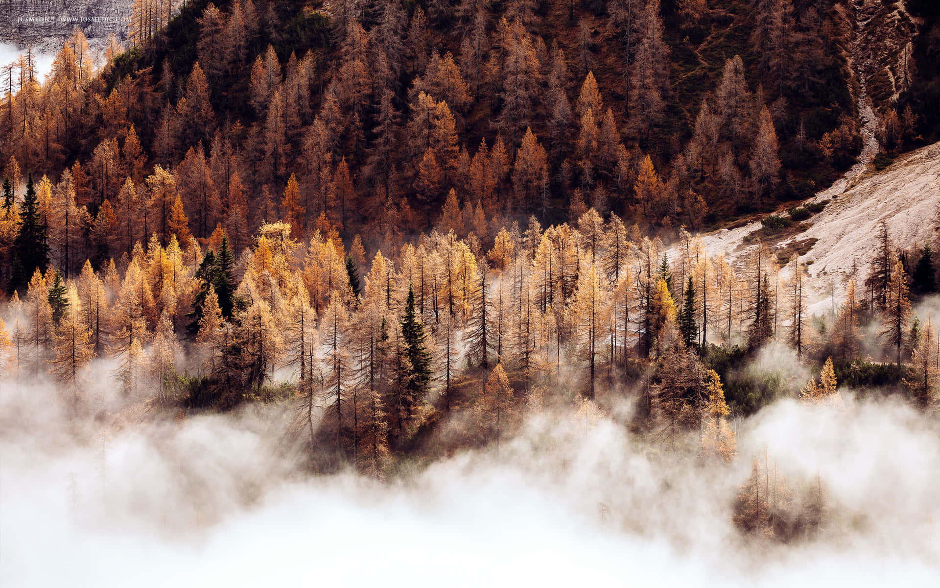 Godetevila Bellezza Dell'autunno A Novembre