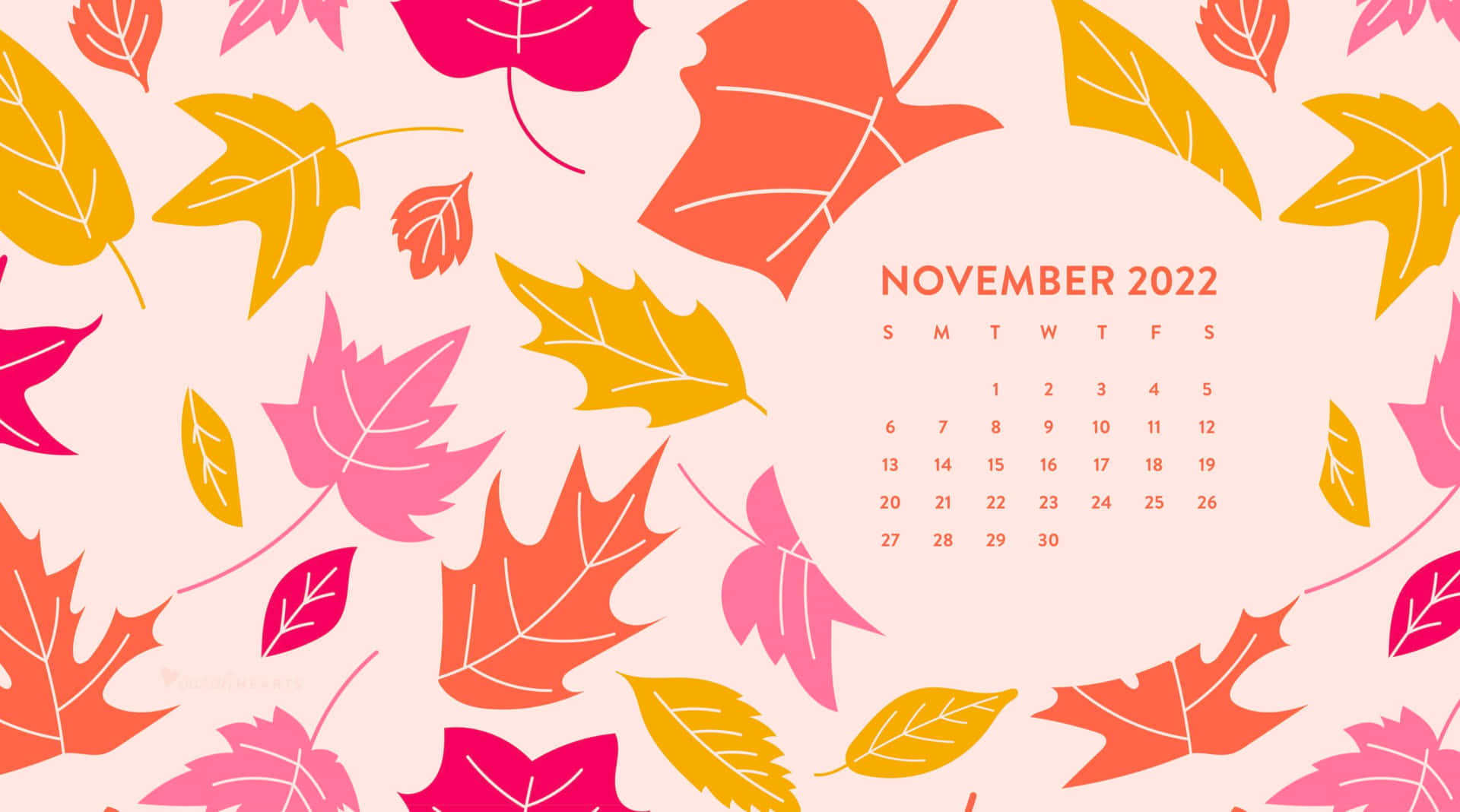 Celebrate the Month of November
