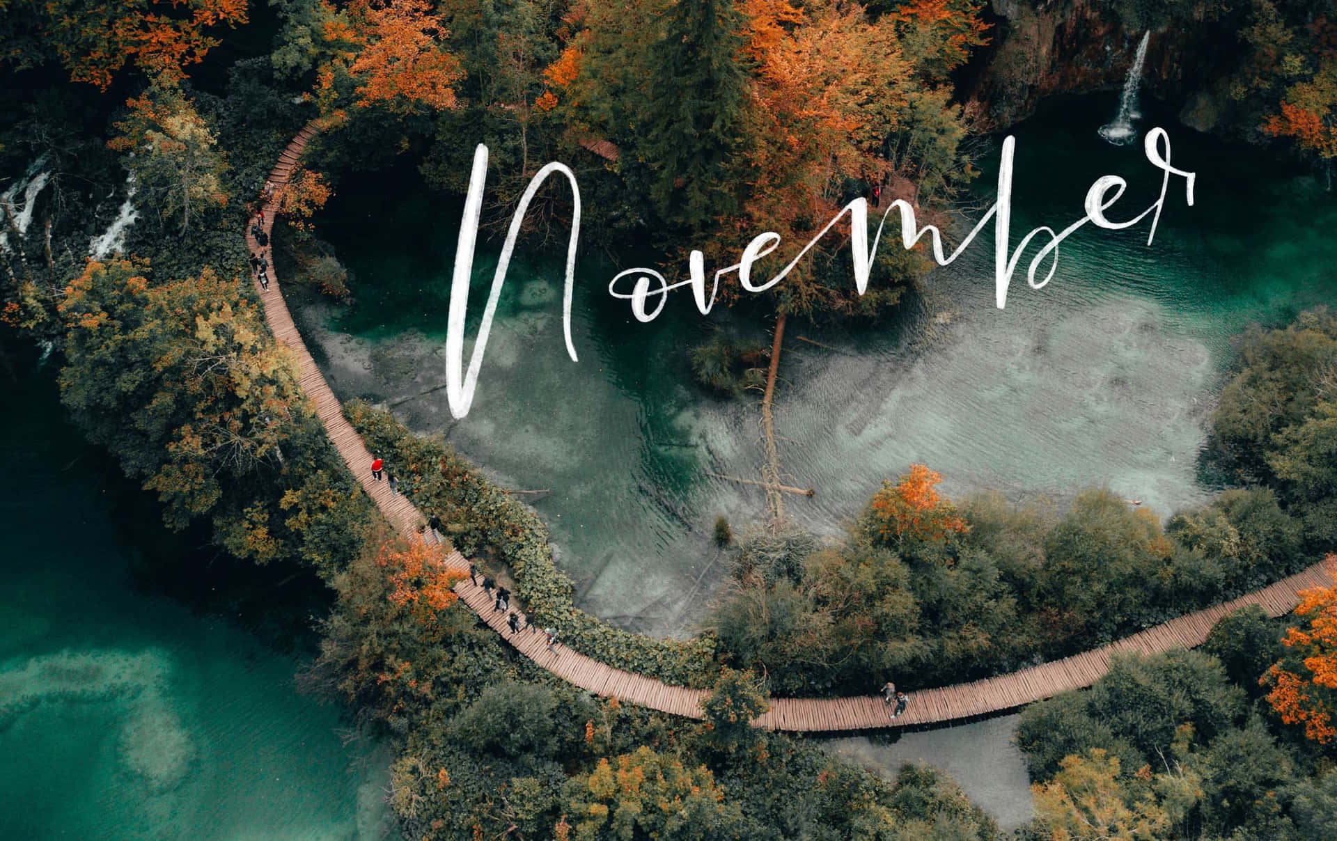 A Tree And A Path With The Words November Wallpaper