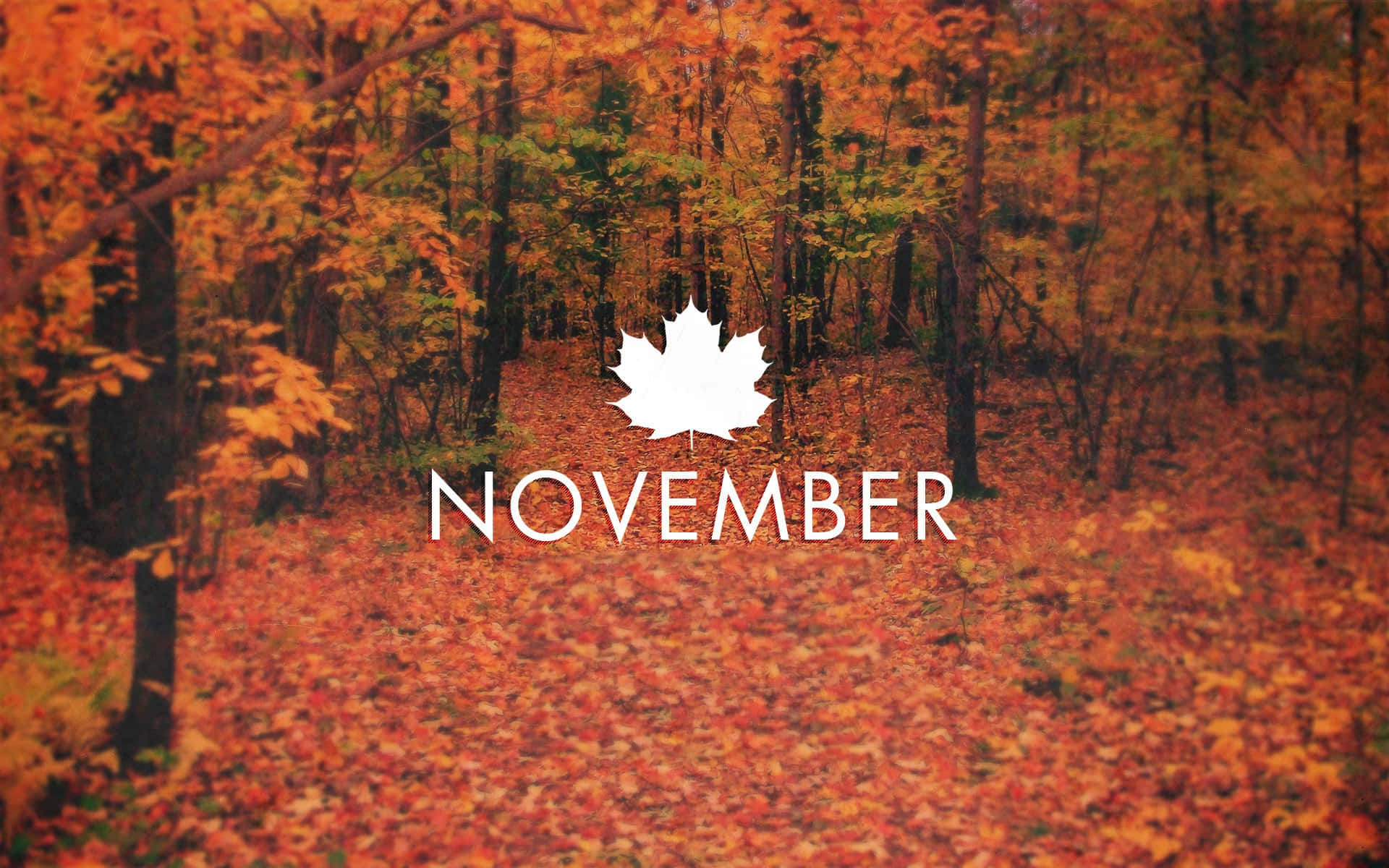 November Desktop Autumn Season Wallpaper