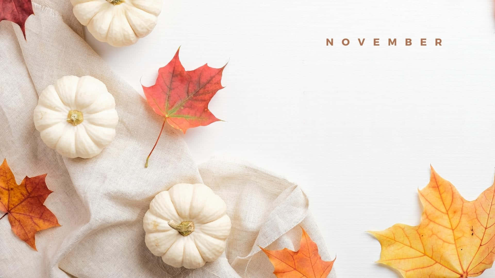 November Desktop White Pumpkin Wallpaper