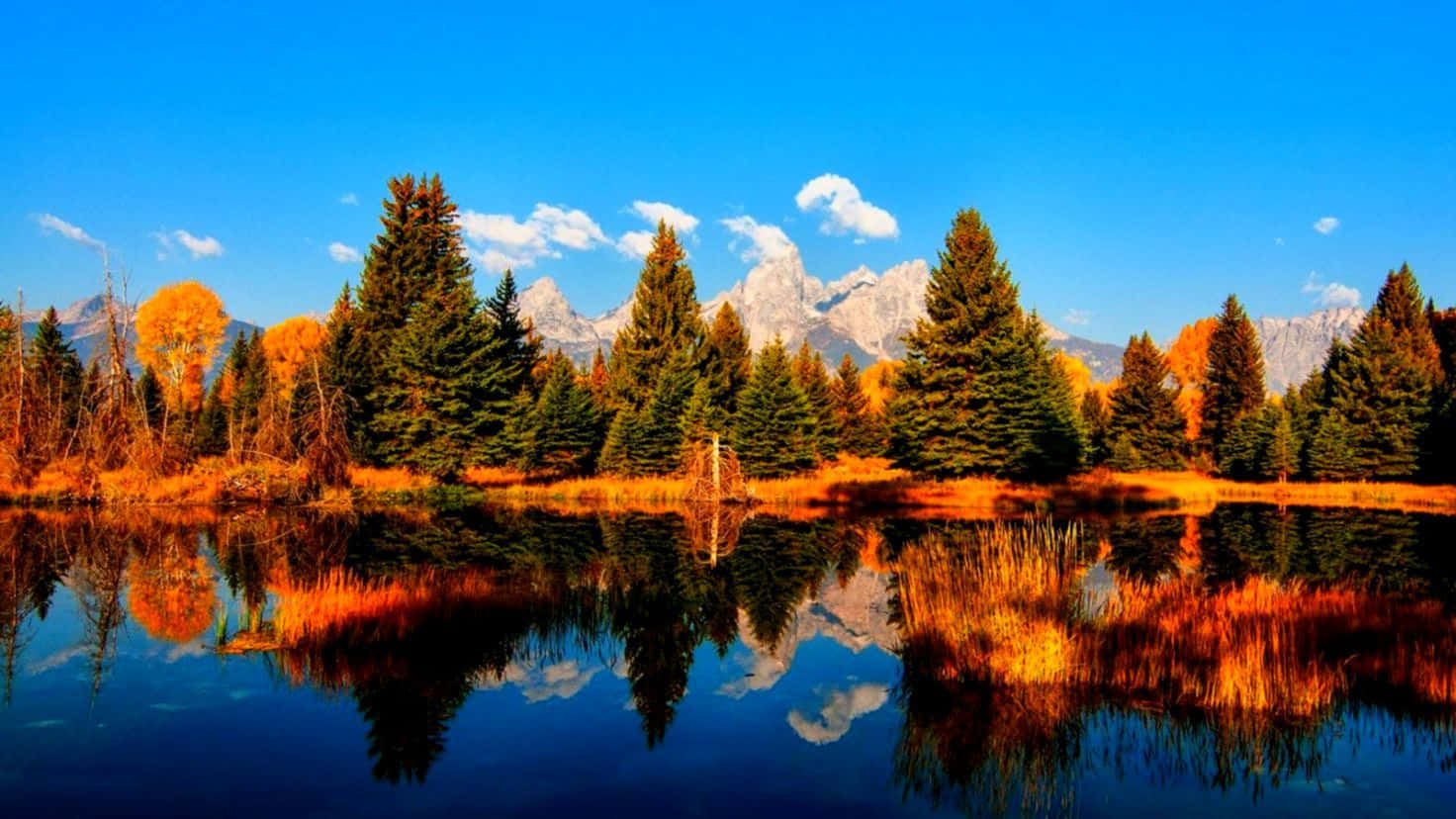 November Fall Forest And Lake Wallpaper