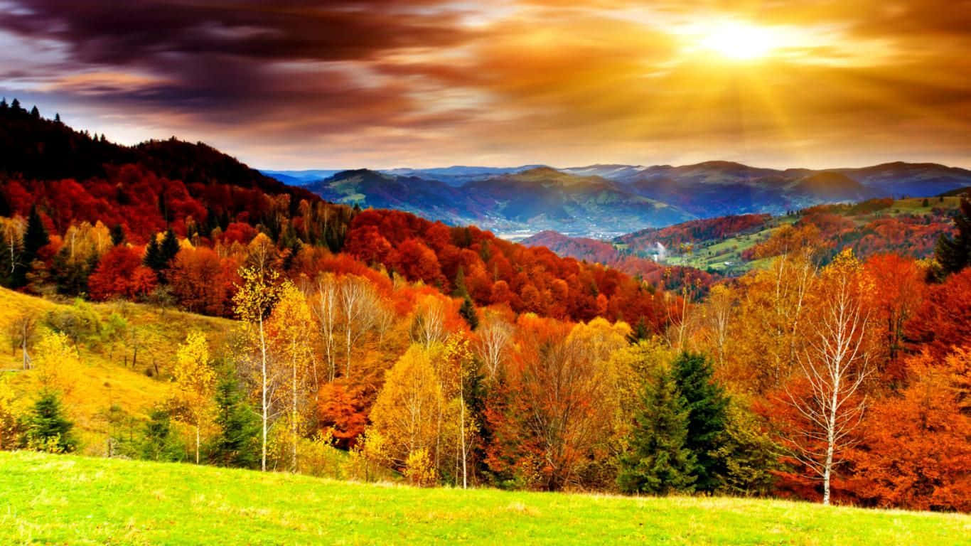 Genießedie Schönheit Der Natur In Diesem Herbst Wallpaper