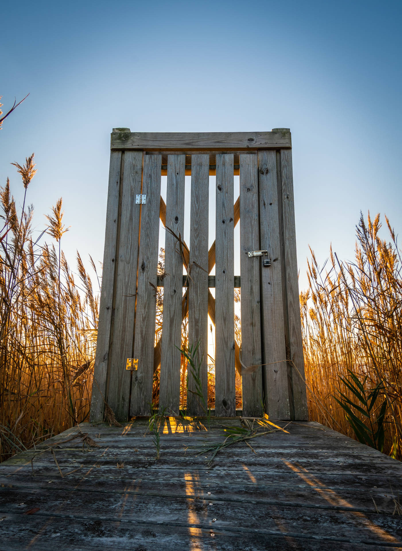 November Field Wooden Gate