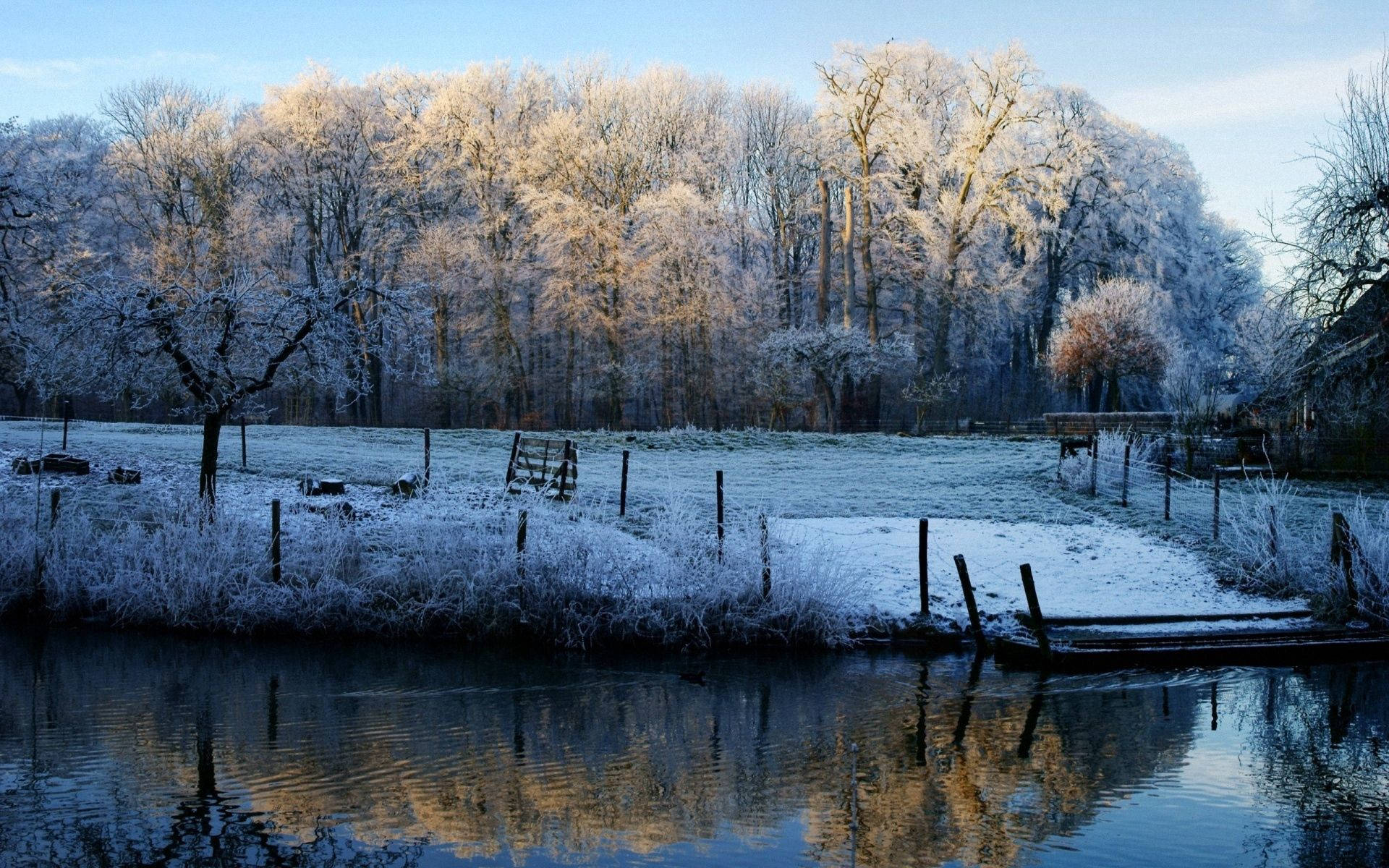 A peaceful November morning at a wintery forest lake Wallpaper