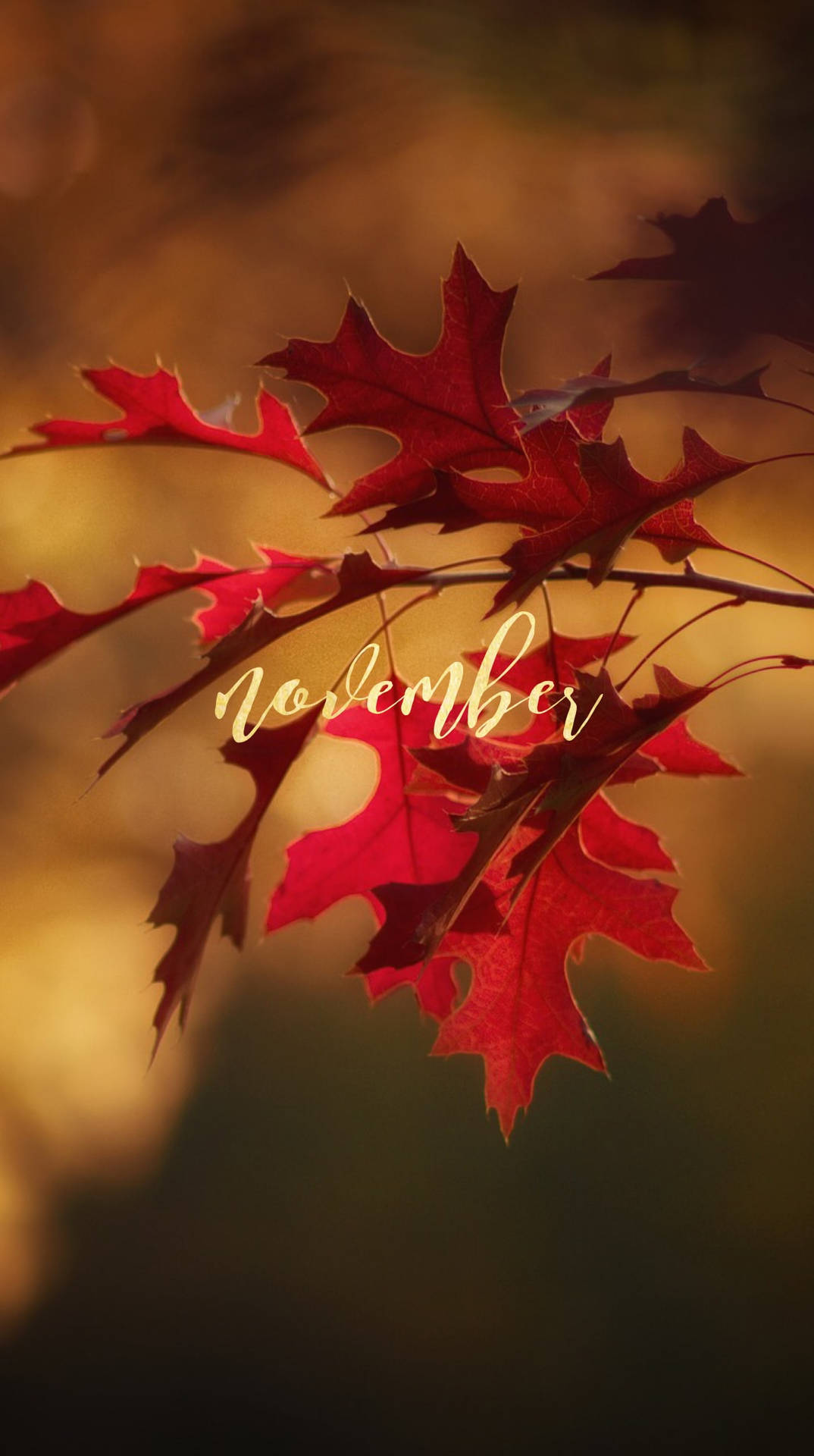 Novemberiphone Bildschirm Hintergrund Wallpaper