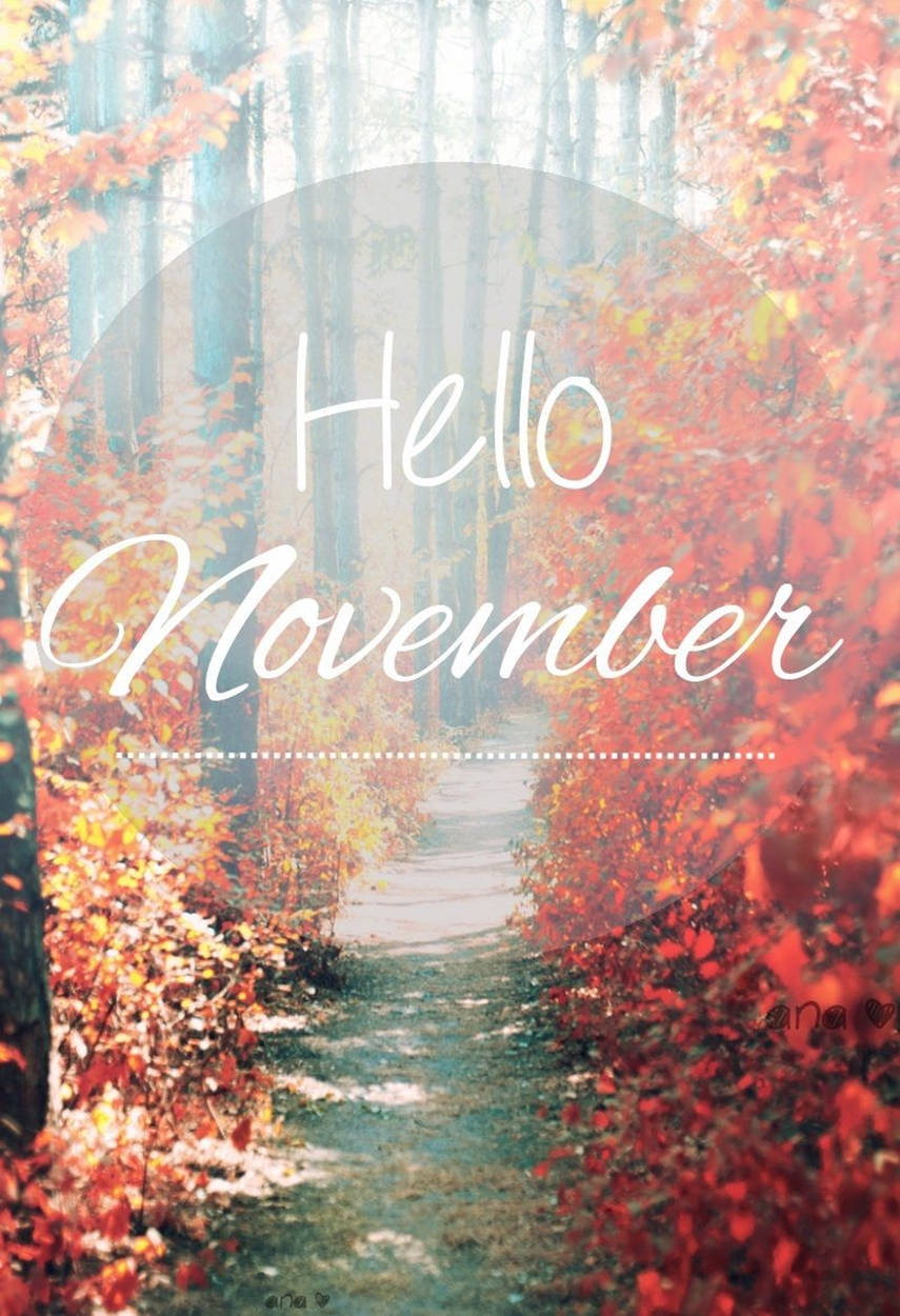 "Celebrate the transition of leaves and seasons with the modern November Iphone" Wallpaper