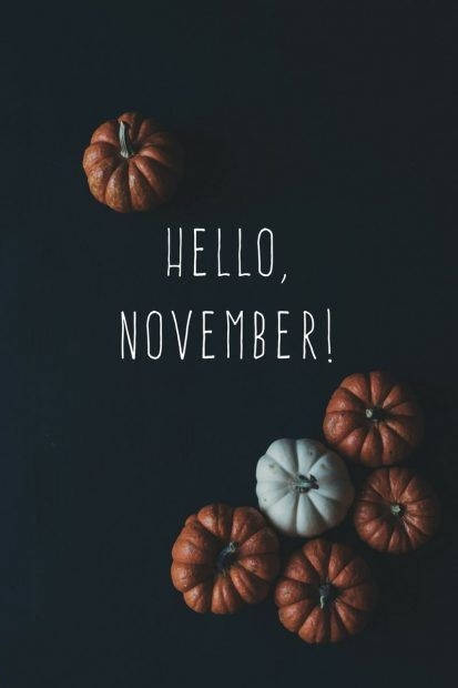 Elegant November vibes with a stunning iPhone Wallpaper