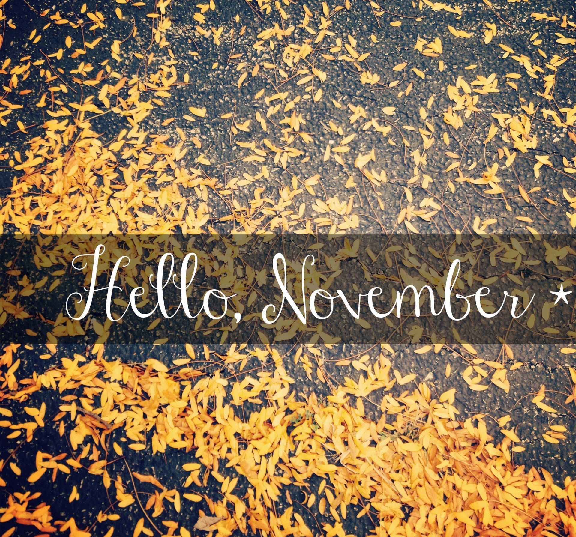Hello November With Yellow Leaves Wallpaper