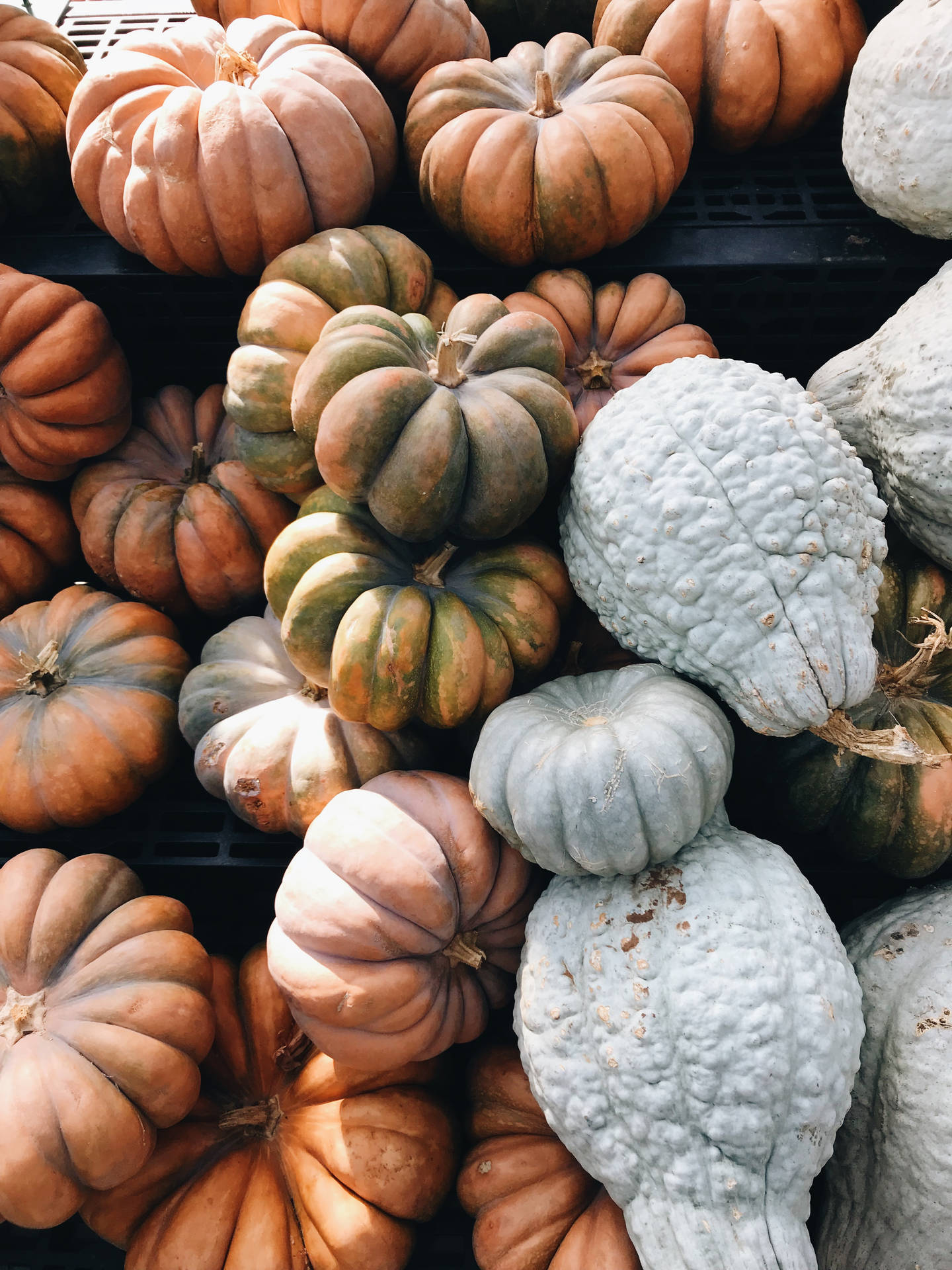 Make November even more special with a delicious pumpkin pie. Wallpaper