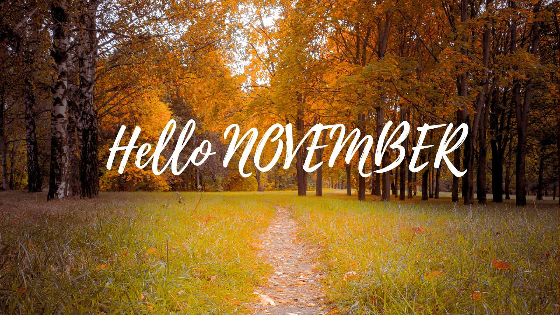 Welcome to November!