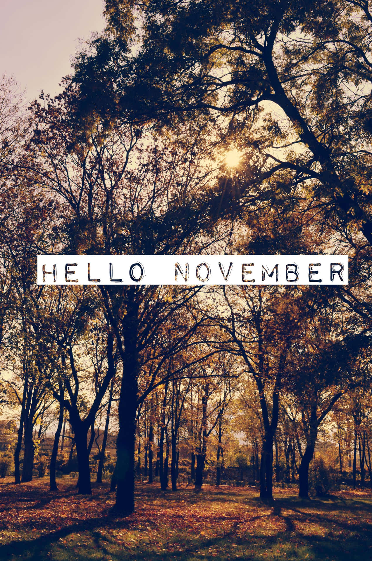Energize Your New Month - November