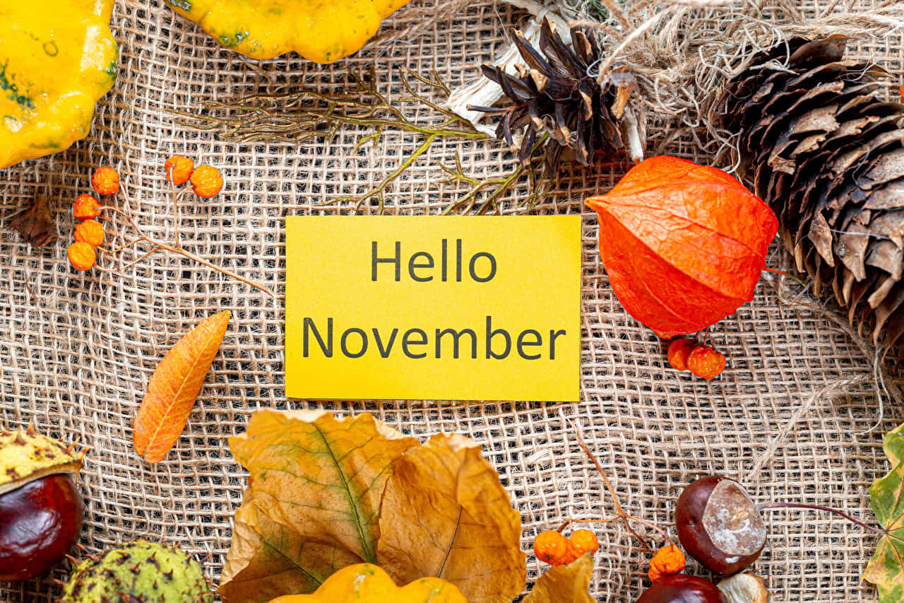 Celebrate the Start of November