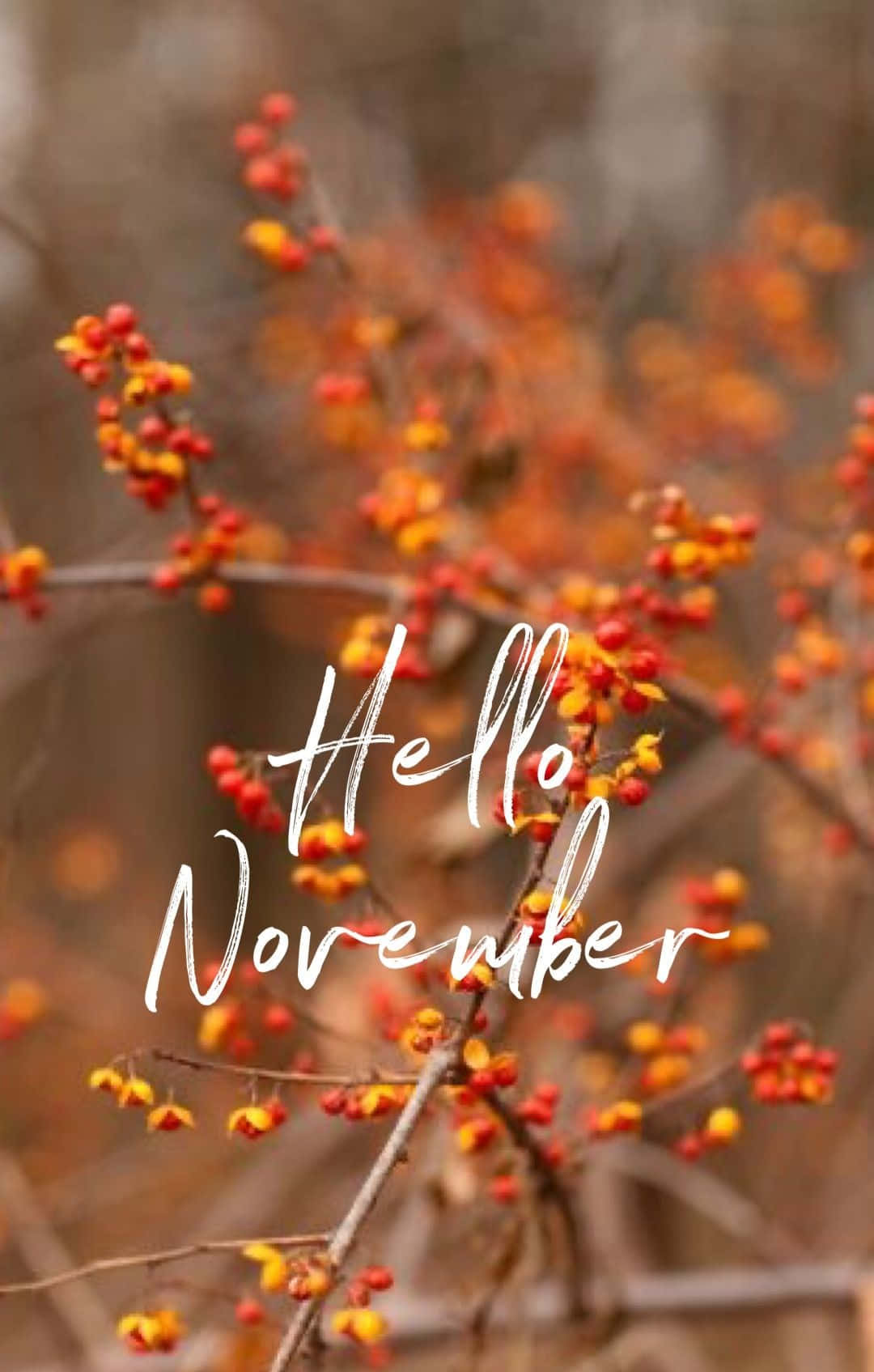 "Welcome to November - the Month of Thankfulness".