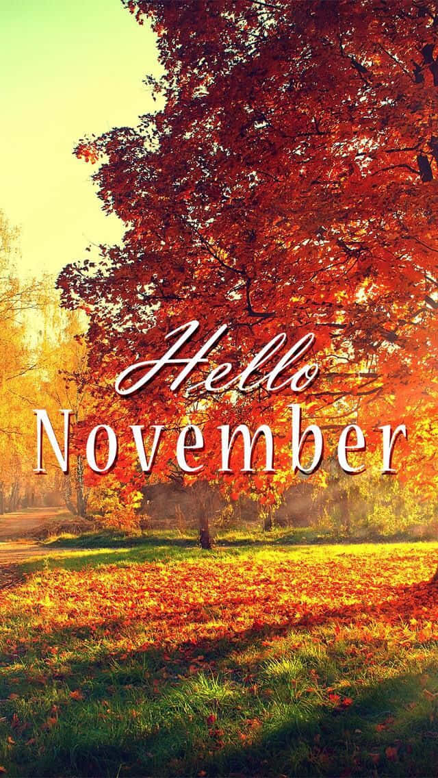 Dieschönheit Des Novembers Feiern