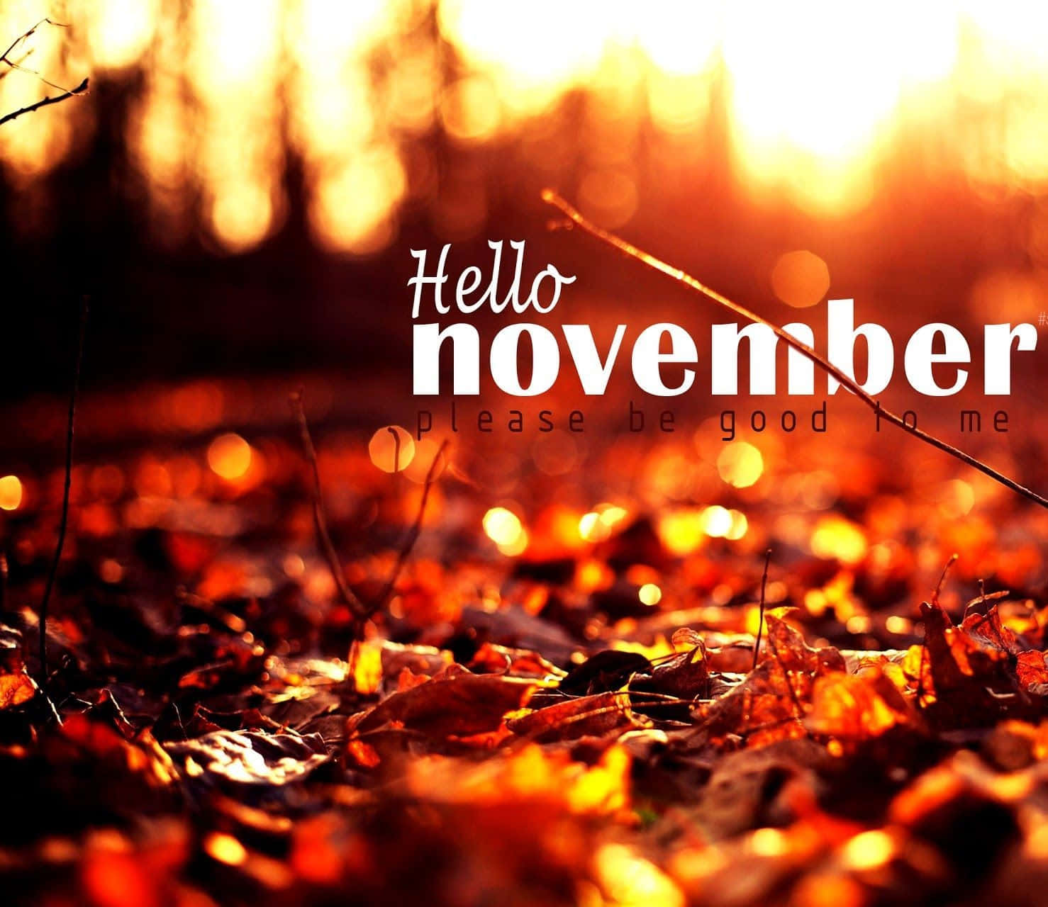 Novemberskies: November Himmel Eller November Himlen