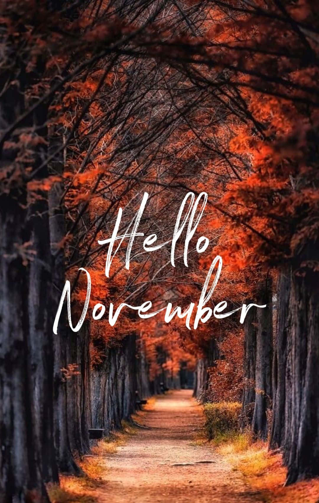 Embrace the beauty of November!