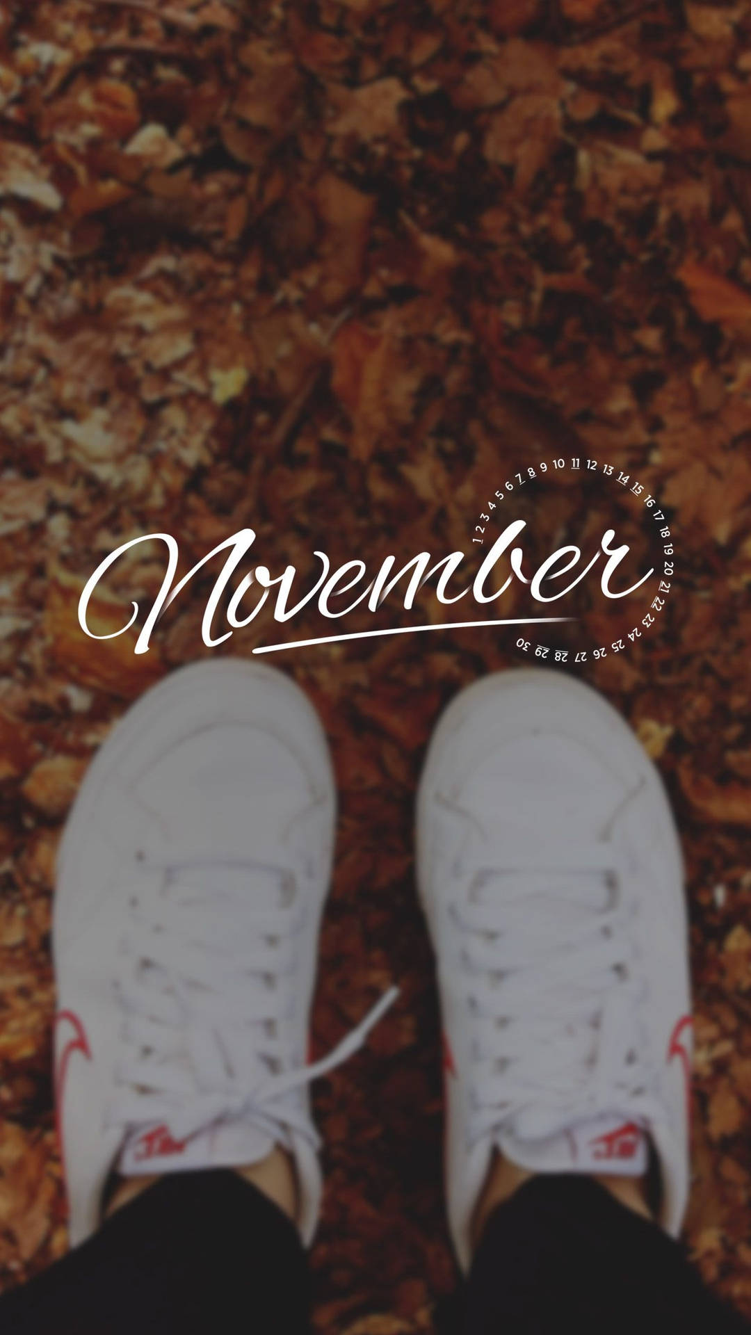November Sneakers On Leaves