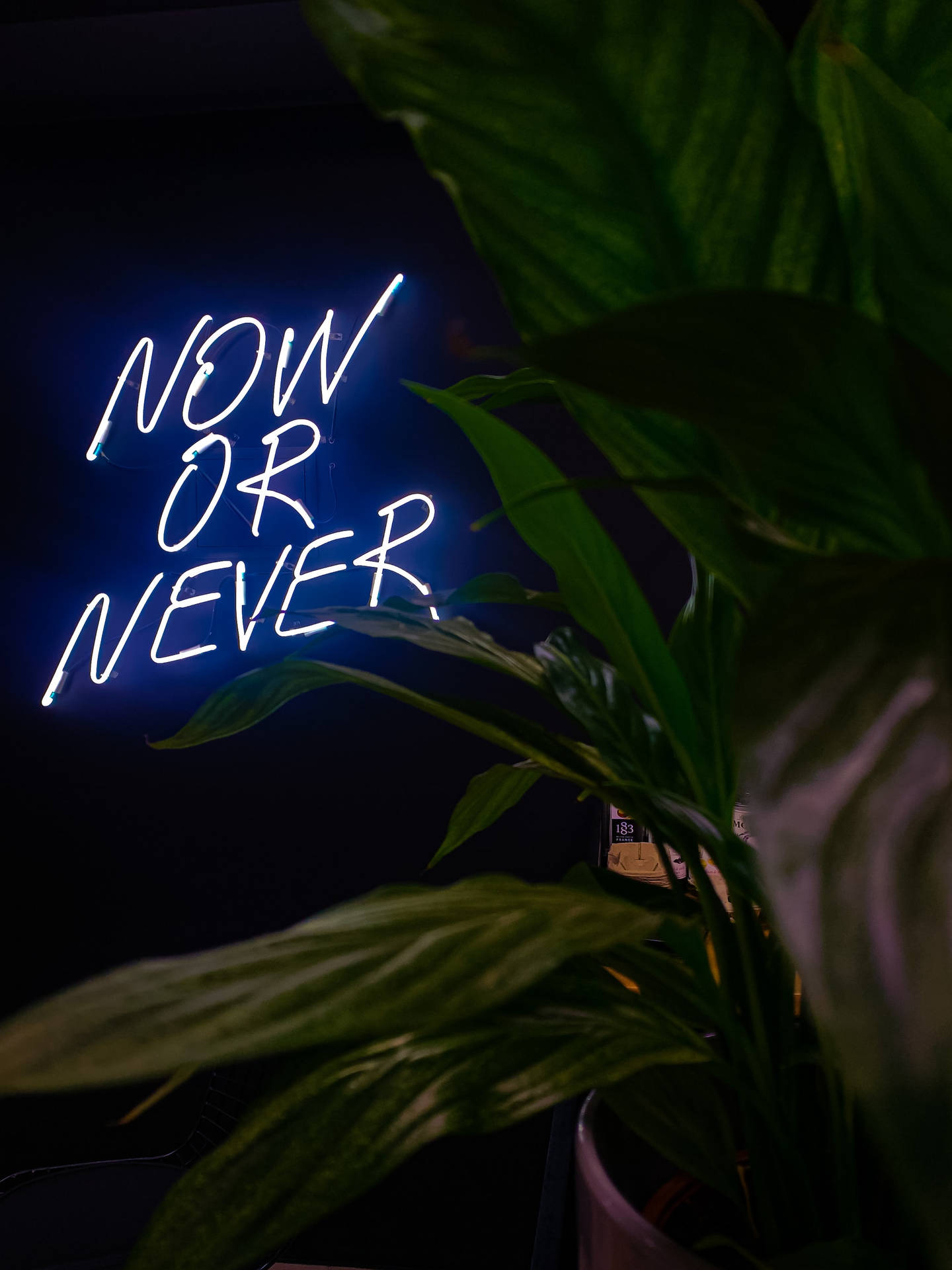 "Now Or Never" Neon Blue iPhone Wallpaper