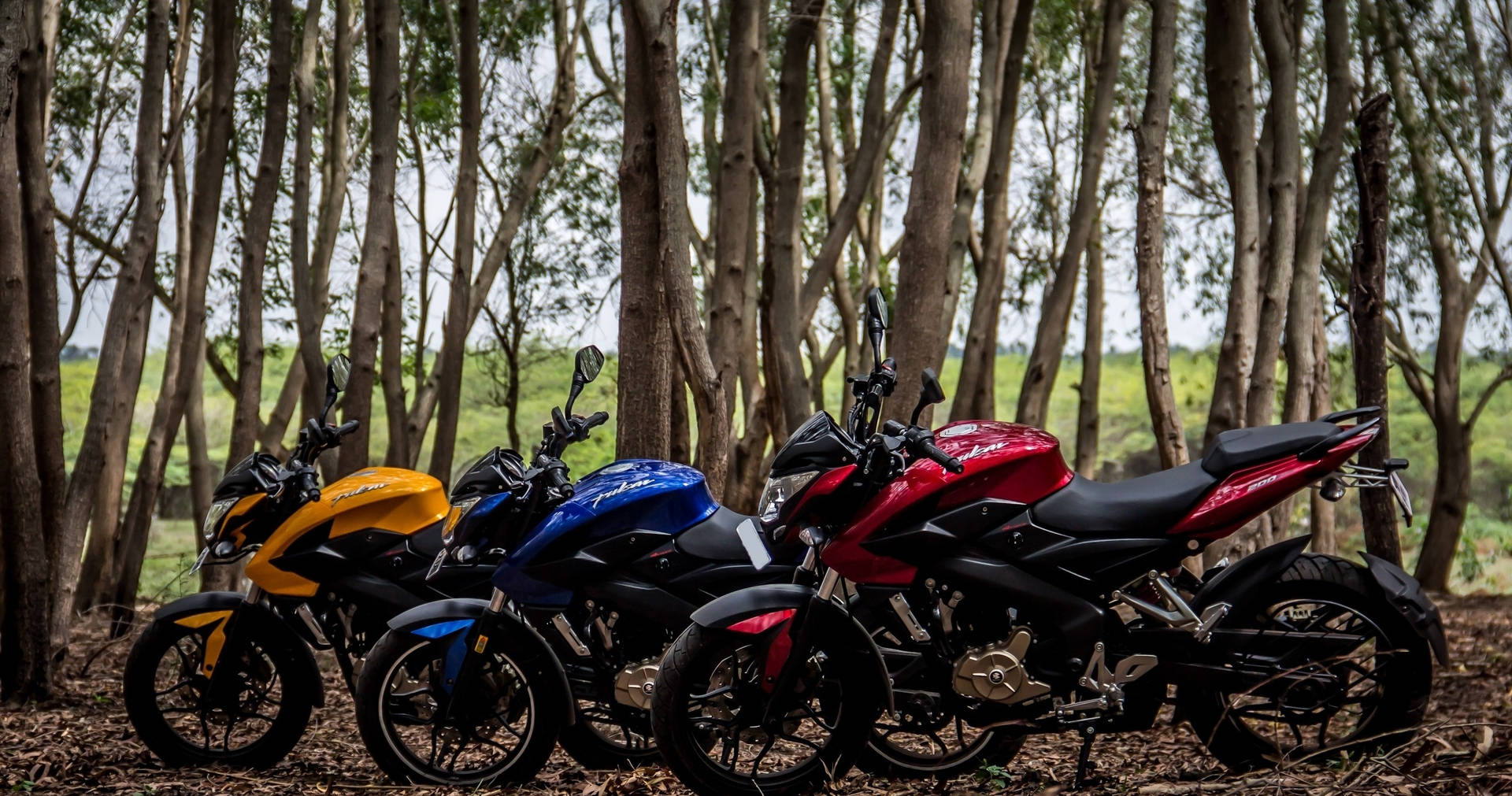NS 200 Motorcykler i skovscene skaber et naturligt udtryk. Wallpaper