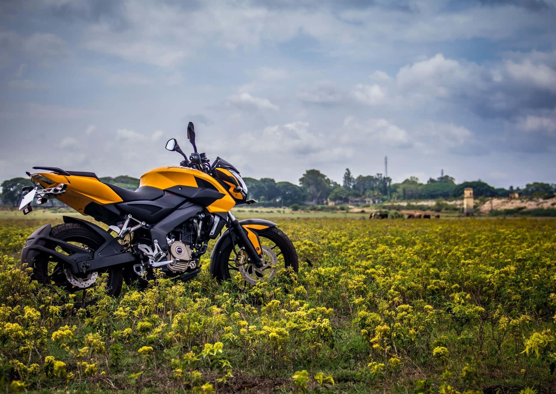 The NS 200 – A powerful motorcycle built for fun
