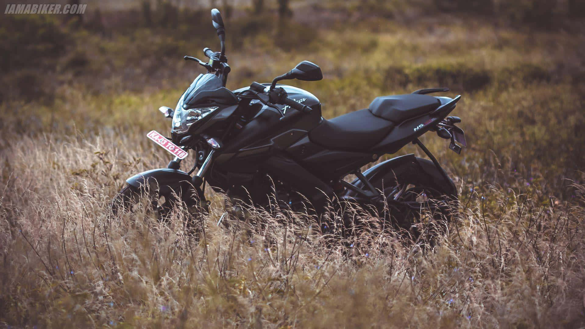 Ensvart Motorcykel Parkerad I Ett Fält Av Högt Gräs