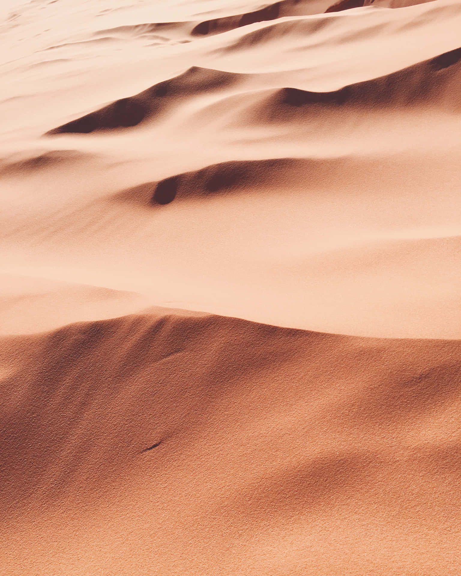 Einewüste Mit Sanddünen Und Sand