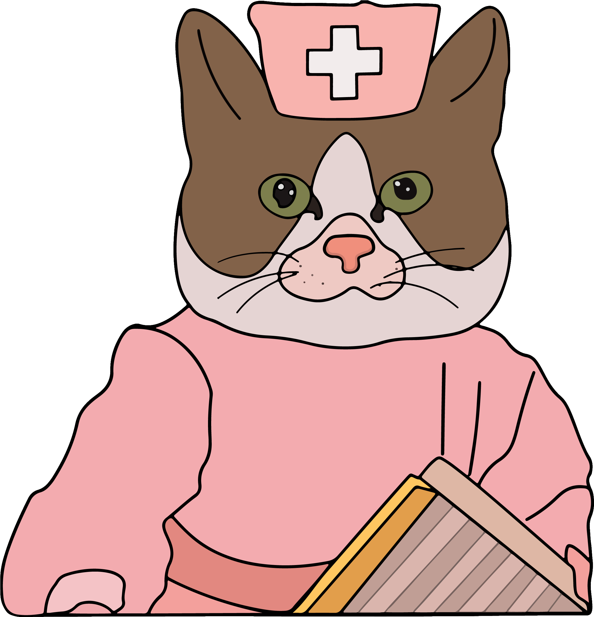 Nurse Cat Cartoon Meme PNG