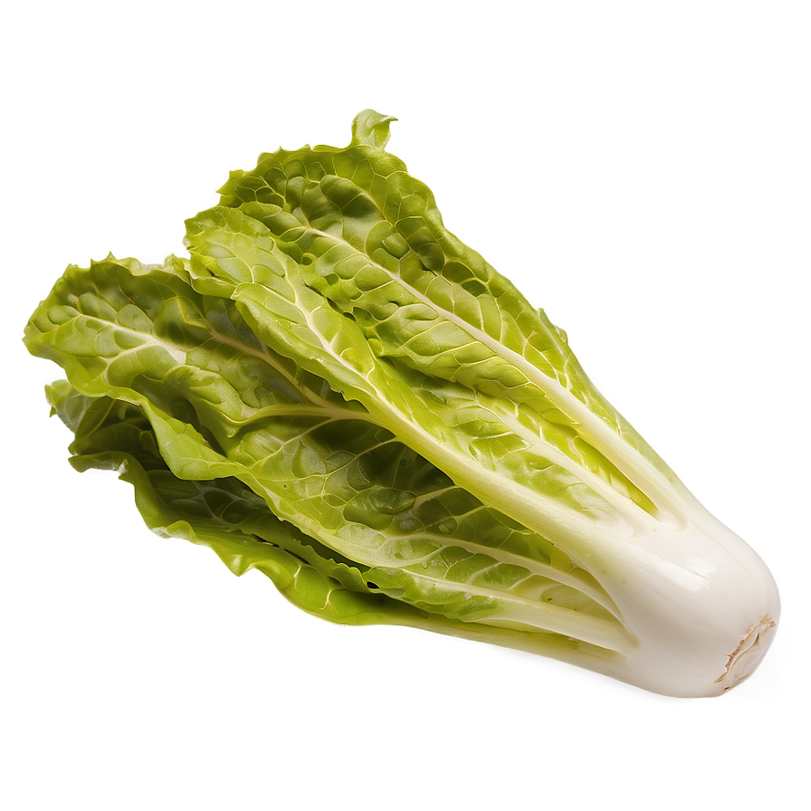 Download Nutrient-rich Lettuce Png 05242024 | Wallpapers.com