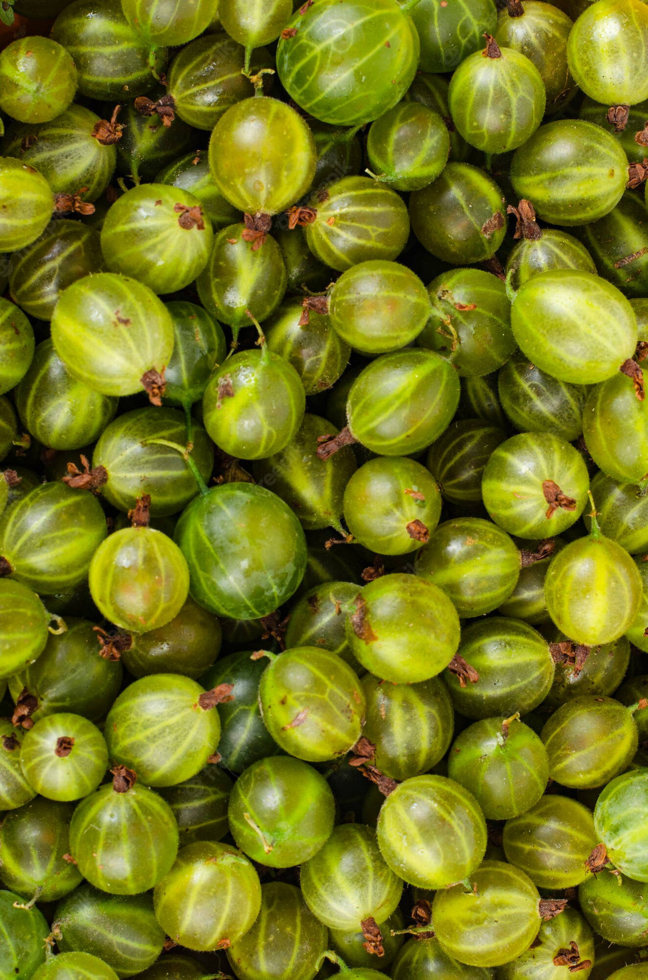 Nutritious Amla Gooseberries - A Source of Natural Goodness Wallpaper