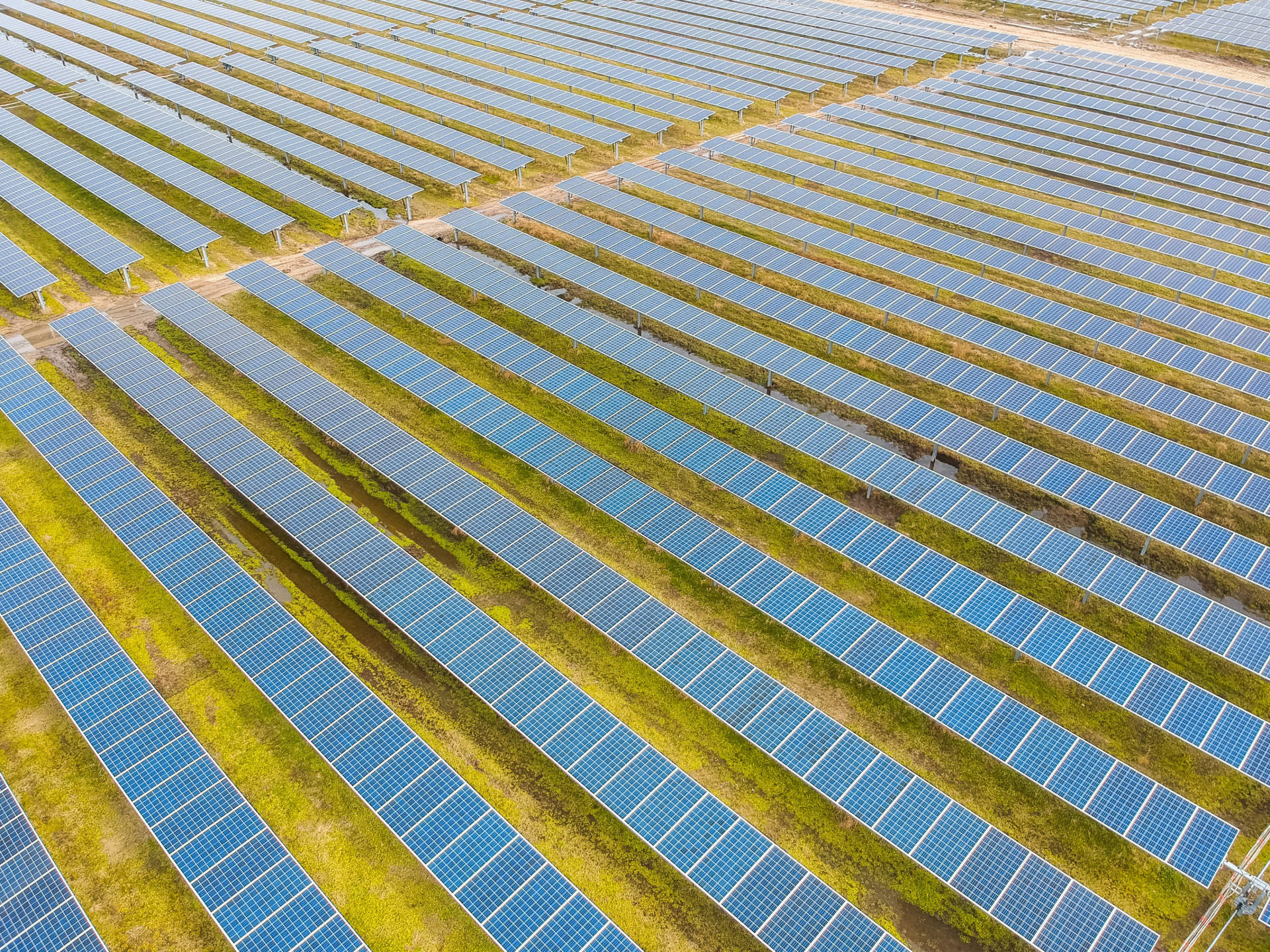 Array Of Solar Panels At Nv Energy Solar Park Wallpaper