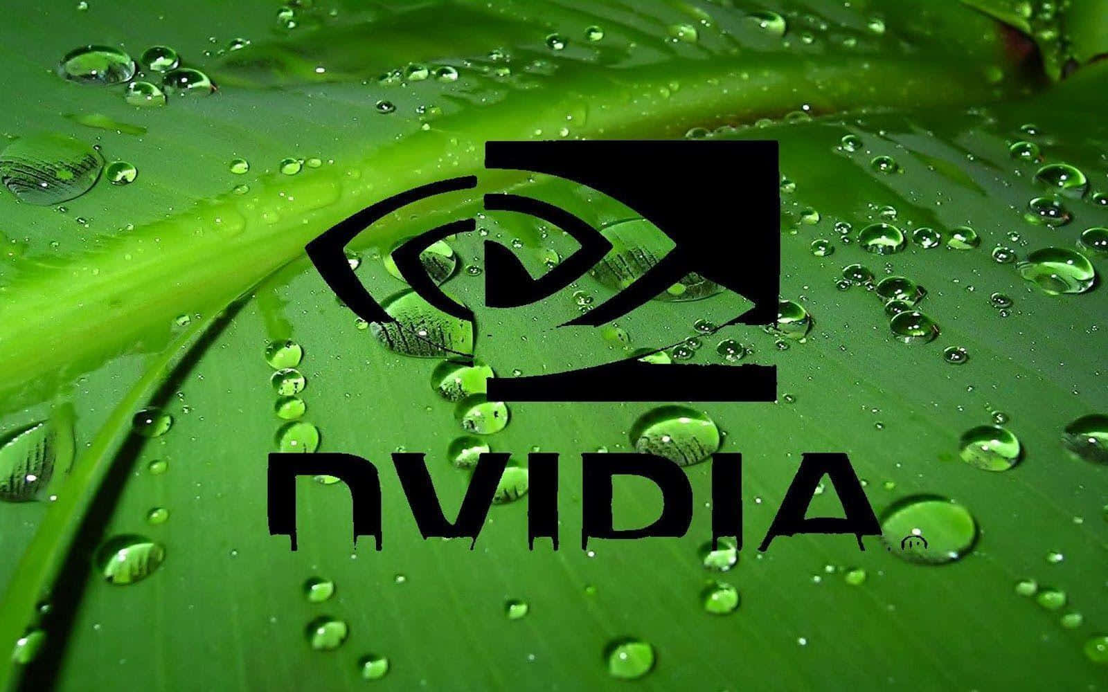 Get Powerful Performance with NVIDIA