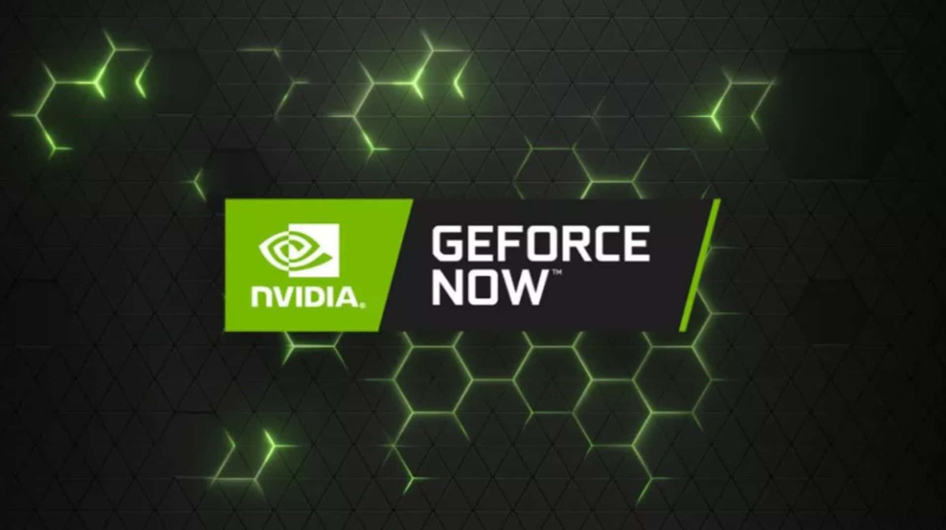 NVIDIA Puts High Performance Graphics In The Palm Of Your Hand