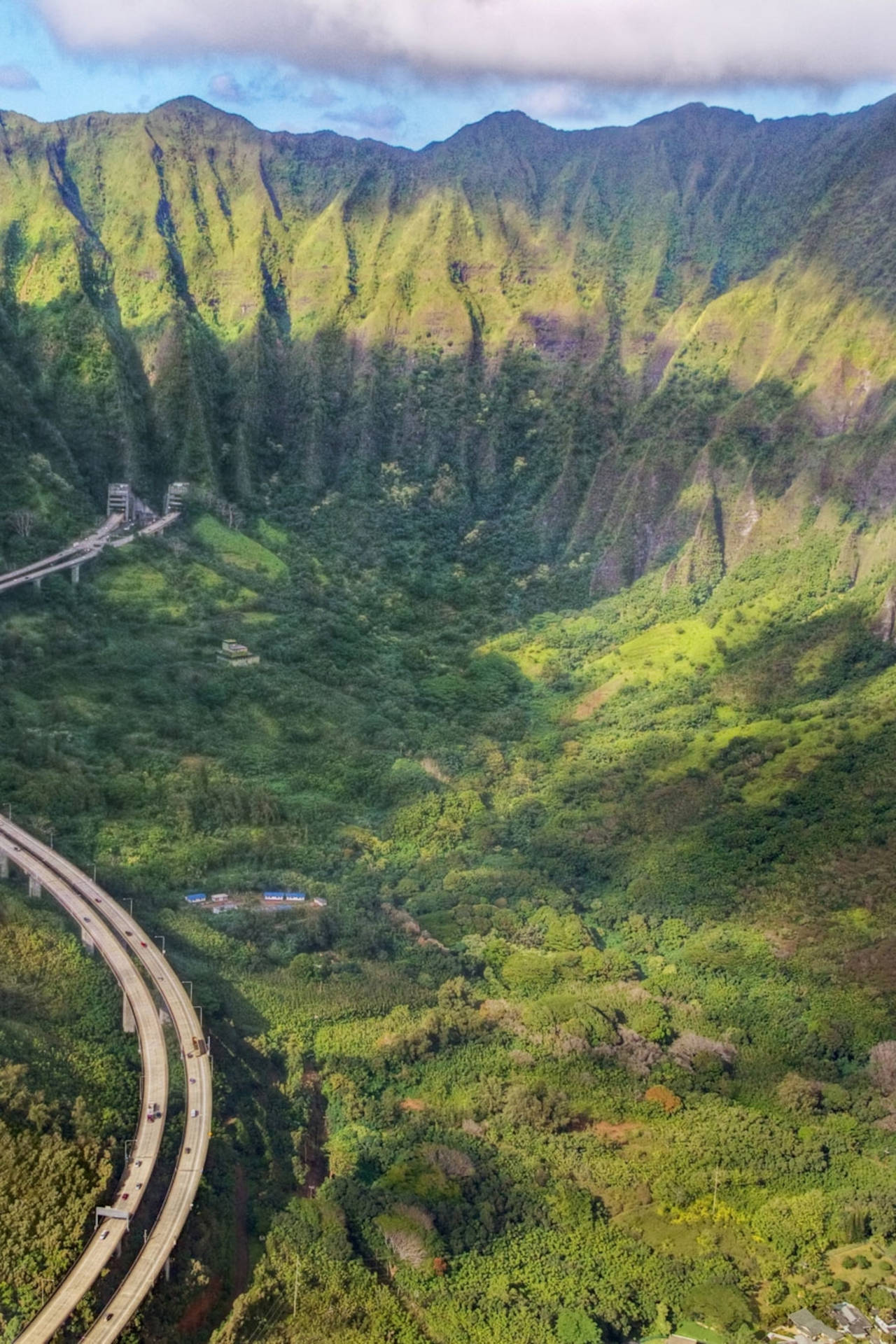 Vegetaçãode Oahu Nas Montanhas. Papel de Parede