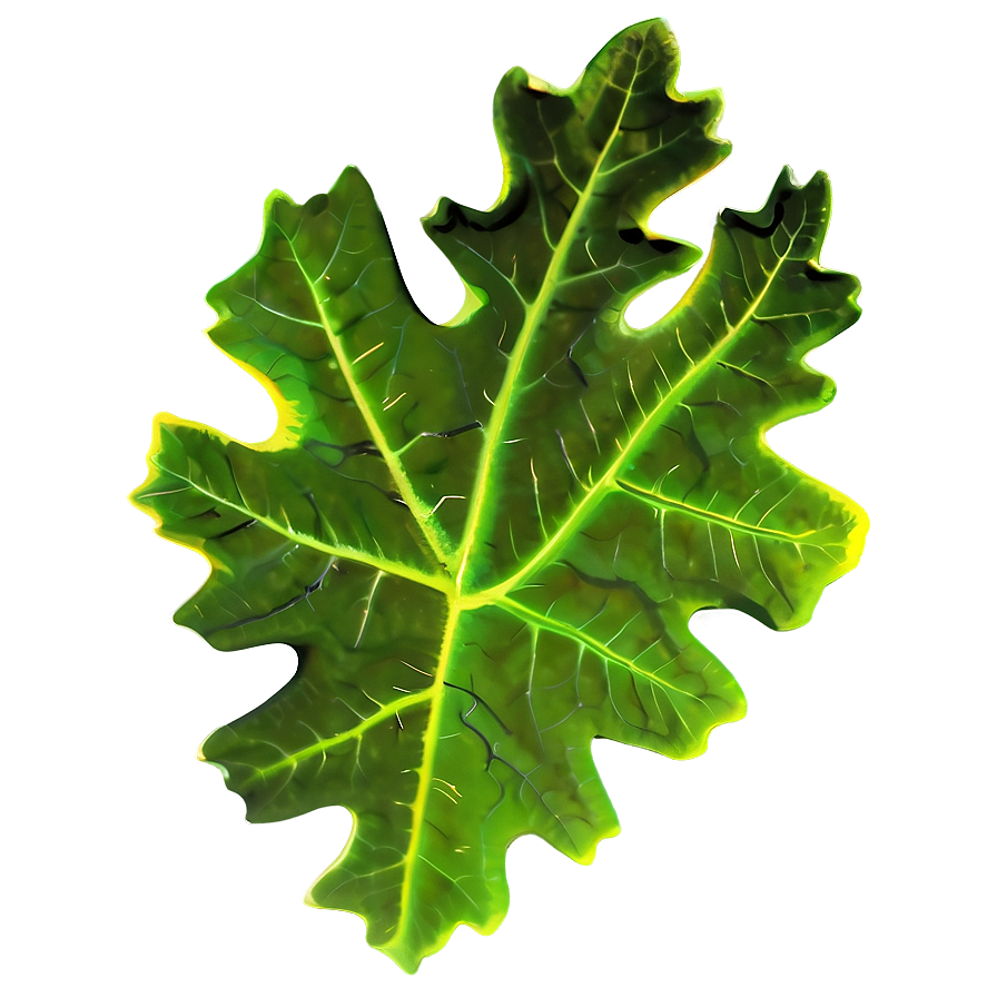 Oak Leaf Icon Png 95 PNG