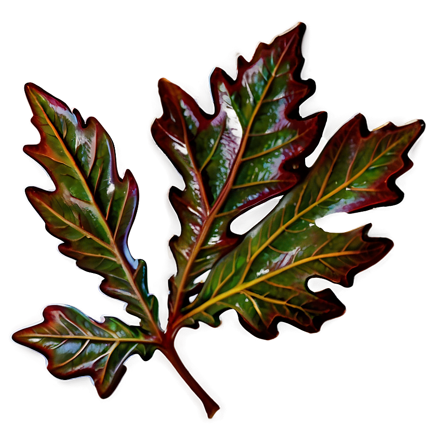 Oak Leaf Png 05032024 PNG