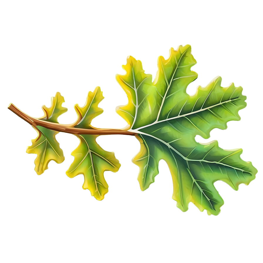 Oak Leaf Png 22 PNG