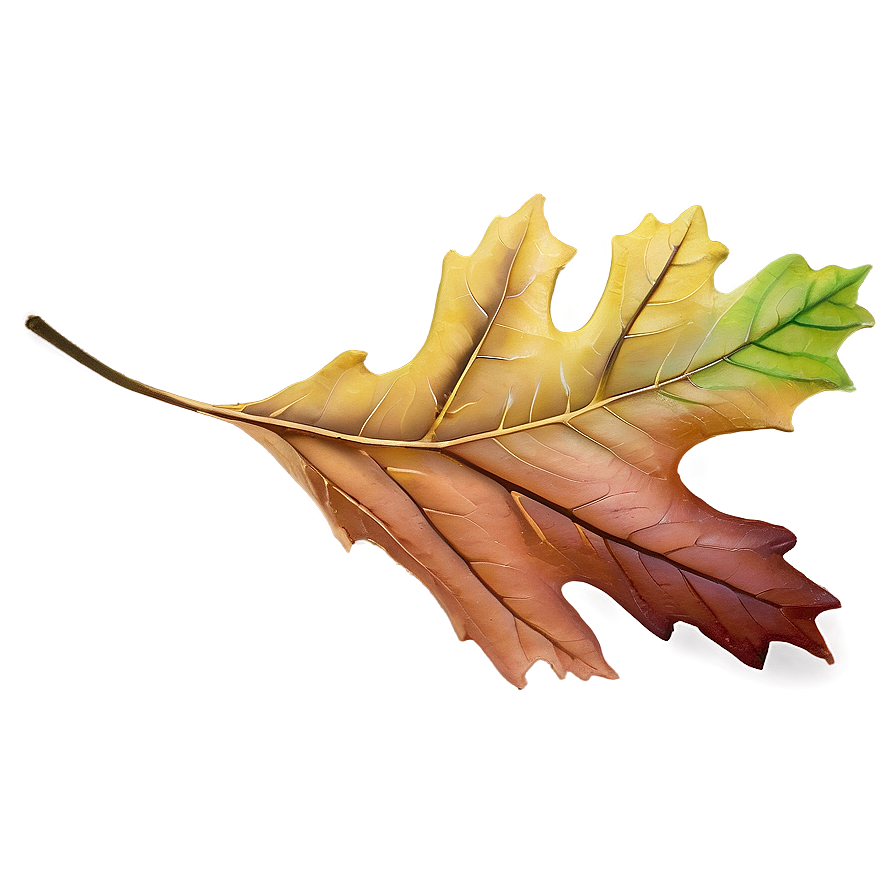 Oak Leaf Png Ynf65 PNG