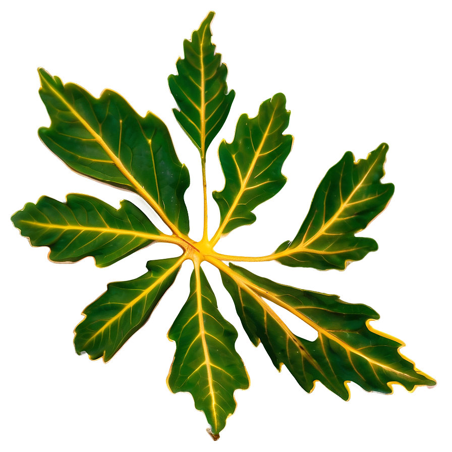 Oak Leaf Veins Png Qyc68 PNG