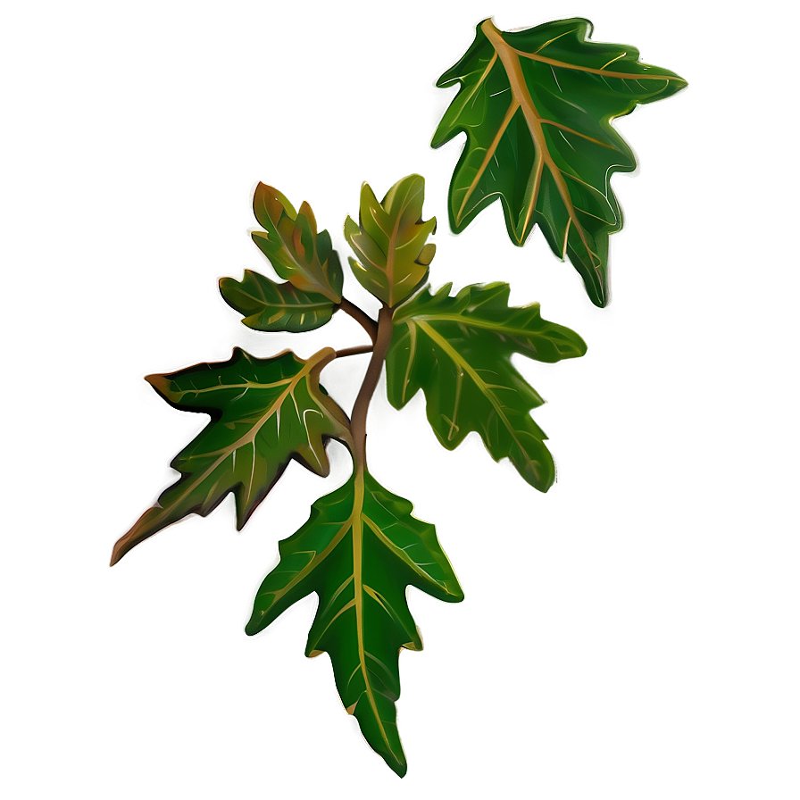 Oak Leaves Cluster Png Kvm38 PNG
