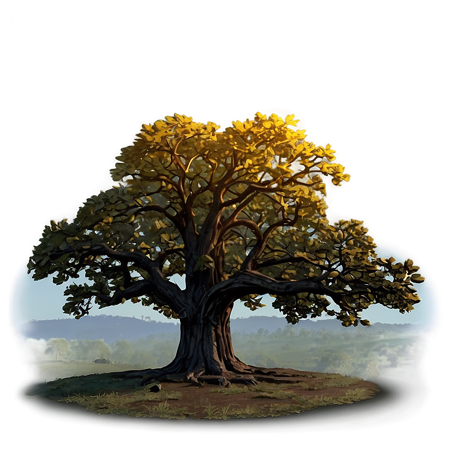 Oak Tree At Dawn Png 06262024 PNG