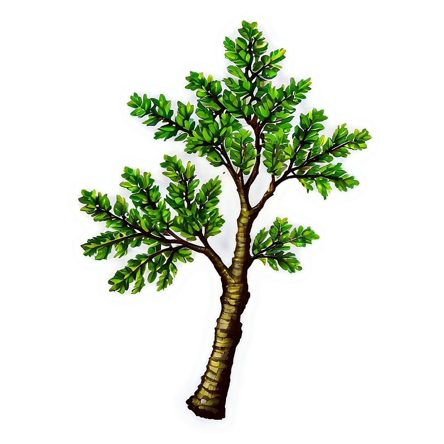 Oak Tree Branch Png 06262024 PNG